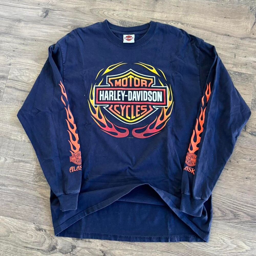 Harley-davidson Men's Navy and Blue T-shirt
